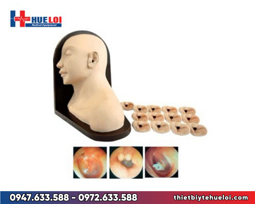 Mô hình thực tập khám tai